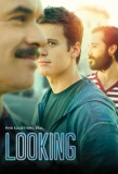 Poster for Looking