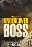 Poster for Undercover Boss