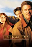 Poster for Everwood