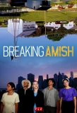 Poster for Breaking Amish