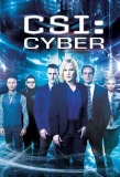 Poster for CSI: Cyber