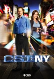 Poster for CSI: NY