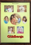 Poster for The Goldbergs