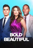 Poster for The Bold and the Beautiful
