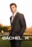 Poster for The Bachelor