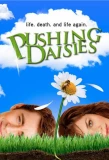 Poster for Pushing Daisies