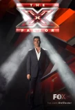 Poster for The X Factor