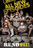 Poster for Reno 911!