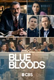 Poster for Blue Bloods