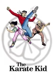 Poster for The Karate Kid