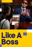 Poster for Like a Boss