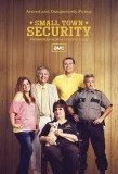 Poster for Small Town Security