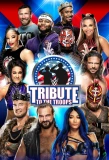 Poster for WWE Tribute to the Troops