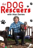 Poster for The Dog Rescuers with Alan Davies