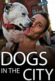 Poster for Dogs in the City