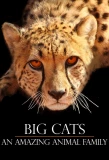 Poster for Big Cats: An Amazing Animal Family