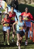 Poster for Great Edinburgh International Cross Country