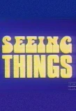Poster for Seeing Things