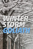 Poster for Winter Storm Goliath