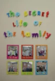 Poster for The Secret Life of the Family