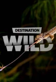 Poster for Destination Wild