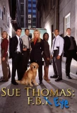 Poster for Sue Thomas F.B.Eye