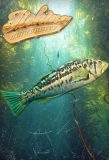 Poster for Fishing University