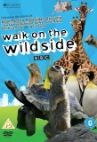 Poster for Walk on the Wild Side