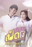 Poster for Ugly Duckling Series: Perfect Match