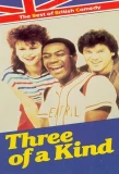 Poster for Three of a Kind