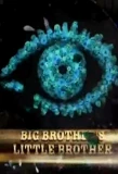 Poster for Big Brother's Little Brother