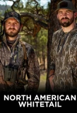Poster for North American Whitetail
