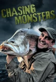 Poster for Chasing Monsters