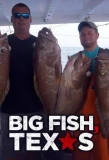 Poster for Big Fish Texas