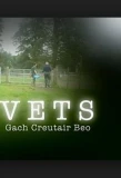 Poster for Vets: Gach Creutair Beo