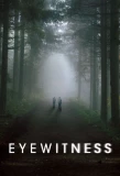 Poster for Eyewitness