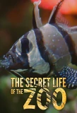 Poster for The Secret Life of the Zoo