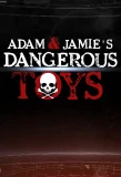 Poster for Dangerous Toys