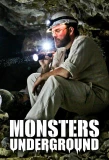 Poster for Monsters Underground