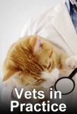 Poster for Vets in Practice