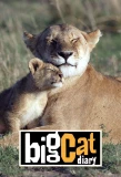 Poster for Big Cat Diary