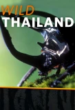 Poster for Wild Thailand