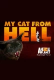 Poster for My Cat from Hell