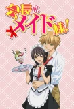 Poster for Kaichou wa Maid-sama!