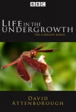 Poster for Life in the Undergrowth