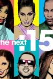 Poster for The Next :15