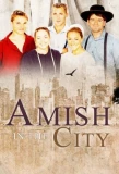 Poster for Amish in the City