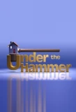 Poster for Under the Hammer