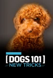 Poster for Dogs 101: New Tricks
