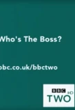 Poster for Who's the Boss?